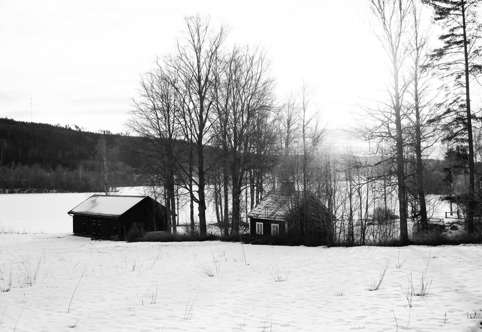 Minimalist Nordic wooden retreat sitting by a quiet glassy lake